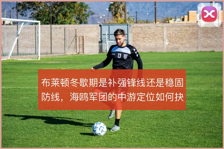 布莱顿冬歇期是补强锋线还是稳固防线,海鸥军团的中游定位如何抉择