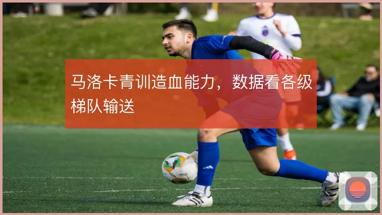 马洛卡青训造血能力,数据看各级梯队输送