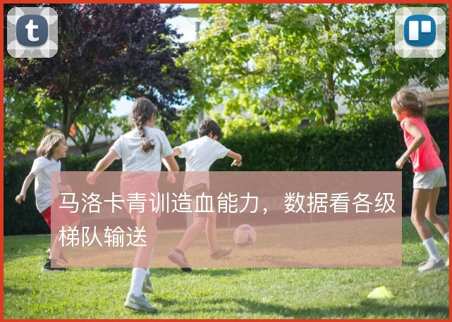 马洛卡青训造血能力,数据看各级梯队输送